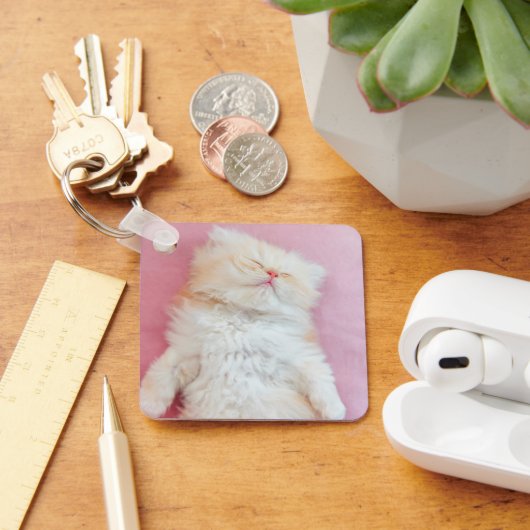 Kutest Baby Animals | Lieve Kitten Slaap Sleutelhanger (Bureau)