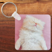 Kutest Baby Animals | Lieve Kitten Slaap Sleutelhanger (Voorkant)