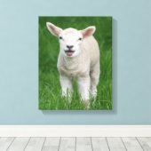 Kutest Baby Animals | Lil Lamb Canvas Afdruk (Insitu (Houten vloer))