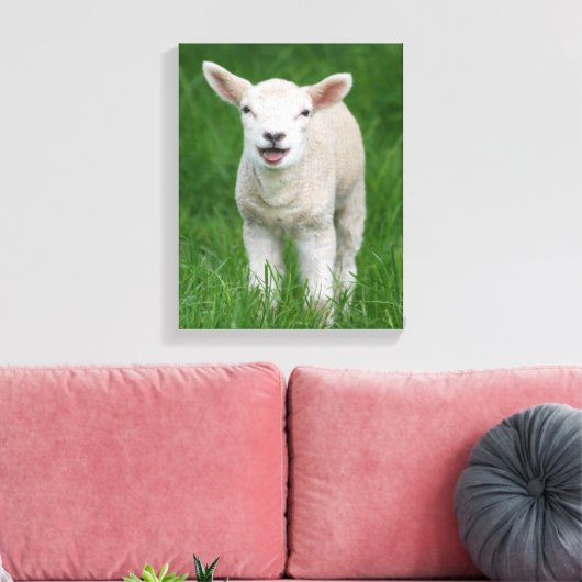 Kutest Baby Animals | Lil Lamb Canvas Afdruk (Insitu (Woonkamer))