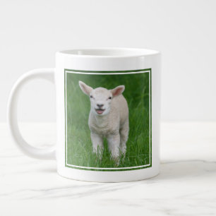 Kutest Baby Animals   Lil Lamb Grote Koffiekop