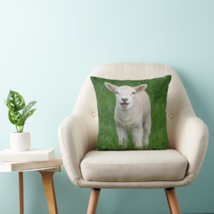 Kutest Baby Animals   Lil Lamb Kussen