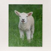 Kutest Baby Animals | Lil Lamb Legpuzzel (Verticaal)