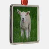 Kutest Baby Animals | Lil Lamb Metalen Ornament (Rechts)