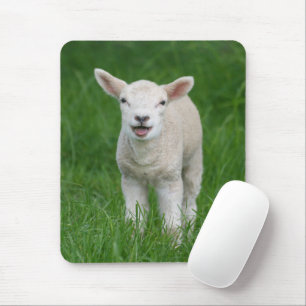 Kutest Baby Animals   Lil Lamb Muismat