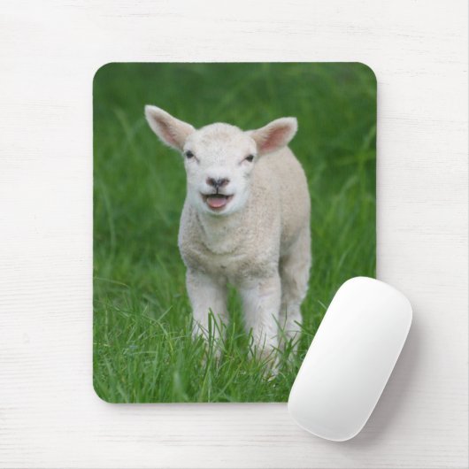 Kutest Baby Animals | Lil Lamb Muismat (Met muis)