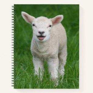 Kutest Baby Animals Lil Lamb Notitieboek