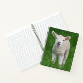 Kutest Baby Animals | Lil Lamb Notitieboek (Binnen)