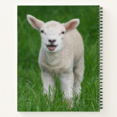 Kutest Baby Animals | Lil Lamb Notitieboek (Achterkant)