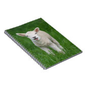 Kutest Baby Animals | Lil Lamb Notitieboek (Rechterzijde)