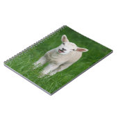 Kutest Baby Animals | Lil Lamb Notitieboek (Linkerzijde)