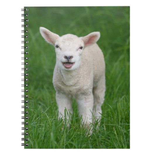 Kutest Baby Animals | Lil Lamb Notitieboek (Voorkant)
