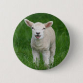 Kutest Baby Animals | Lil Lamb Ronde Button 5,7 Cm (Voorkant)