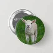 Kutest Baby Animals | Lil Lamb Ronde Button 5,7 Cm (Voorkant /achterkant)