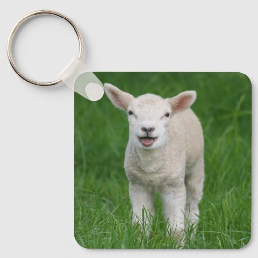 Kutest Baby Animals | Lil Lamb Sleutelhanger (Voorkant)