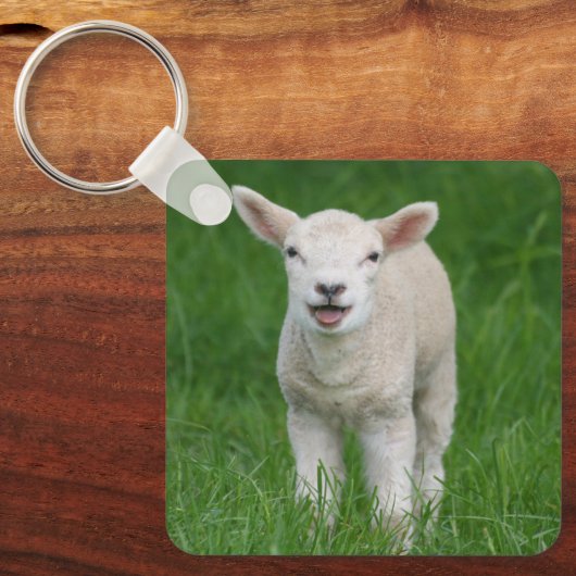 Kutest Baby Animals | Lil Lamb Sleutelhanger (Voorkant)