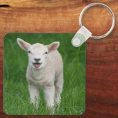 Kutest Baby Animals | Lil Lamb Sleutelhanger (Achterkant)