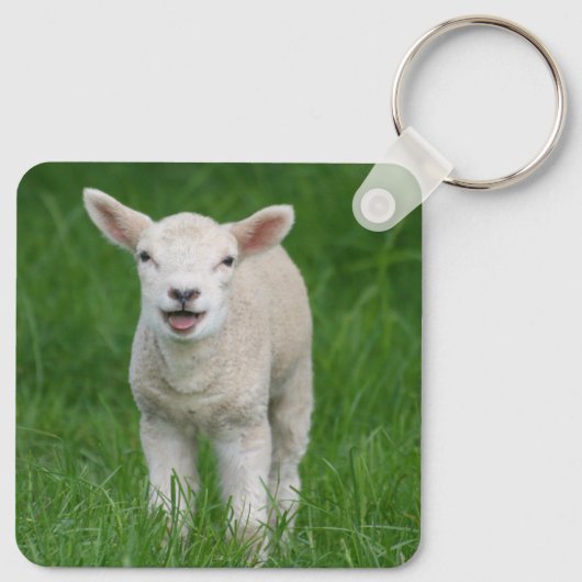 Kutest Baby Animals | Lil Lamb Sleutelhanger (Achterkant)