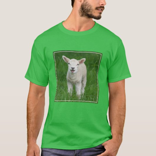 Kutest Baby Animals | Lil Lamb T-shirt (Voorkant)