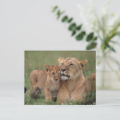 Kutest Baby Animals | Lion Cub en moeder Briefkaart (Staand voorkant)