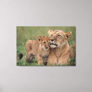 Kutest Baby Animals Lion Cub en moeder Canvas Afdruk