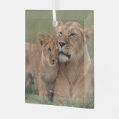 Kutest Baby Animals | Lion Cub en moeder Glas Ornament (Voorkant links)
