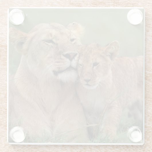 Kutest Baby Animals | Lion Cub en moeder Glazen Onderzetter (Achterkant)