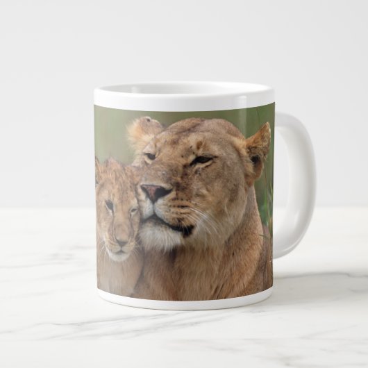 Kutest Baby Animals | Lion Cub en moeder Grote Koffiekop (Voorkant rechts)