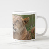 Kutest Baby Animals | Lion Cub en moeder Grote Koffiekop (Rechts)
