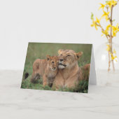 Kutest Baby Animals | Lion Cub en moeder Kaart (Gele Bloem)