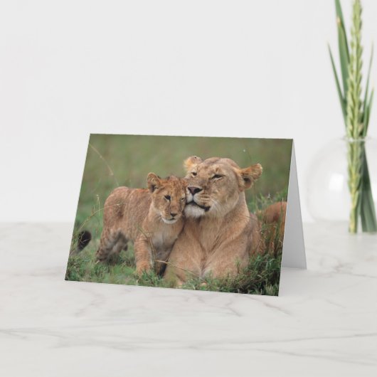 Kutest Baby Animals | Lion Cub en moeder Kaart (Voorkant)