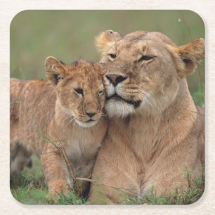 Kutest Baby Animals   Lion Cub en moeder Kartonnen Onderzetters