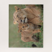 Kutest Baby Animals | Lion Cub en moeder Legpuzzel (Verticaal)