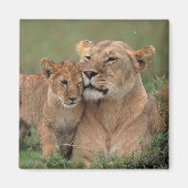 Kutest Baby Animals | Lion Cub en moeder Magneet (Voorkant)