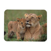 Kutest Baby Animals | Lion Cub en moeder Magneet (Horizontaal)