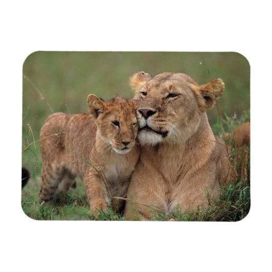 Kutest Baby Animals | Lion Cub en moeder Magneet (Horizontaal)