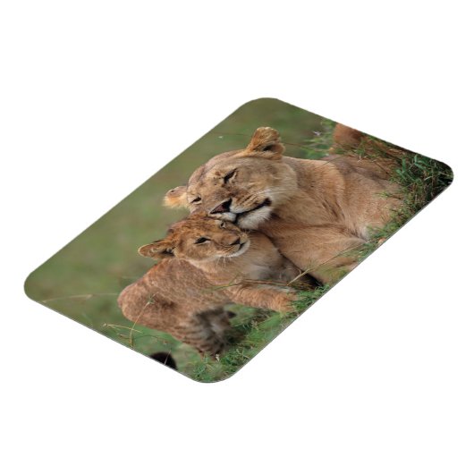 Kutest Baby Animals | Lion Cub en moeder Magneet (Linkerzijde)