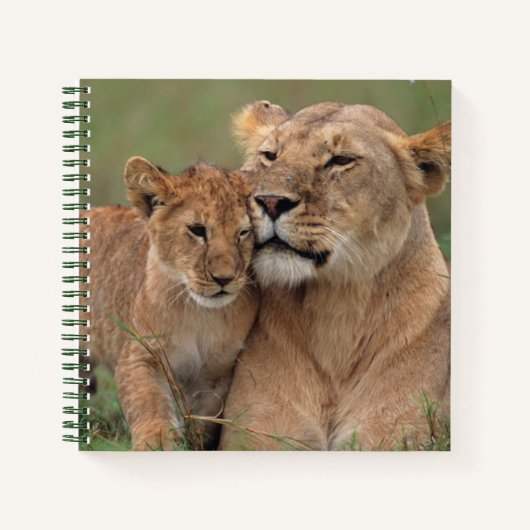 Kutest Baby Animals | Lion Cub en moeder Notitieboek (Voorkant)
