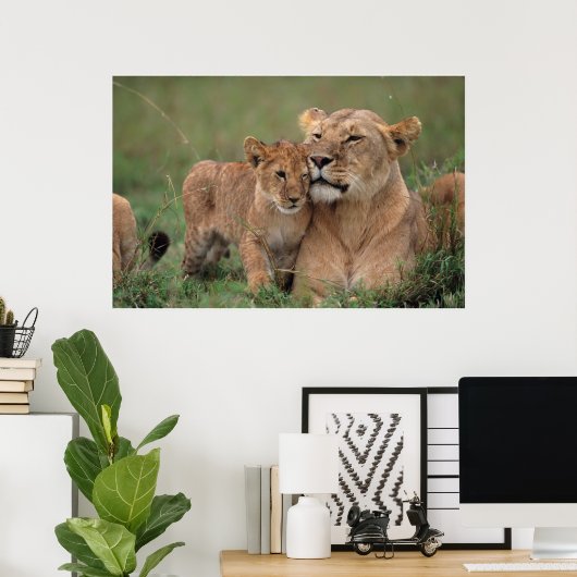 Kutest Baby Animals | Lion Cub en moeder Poster (Thuiskantoor)