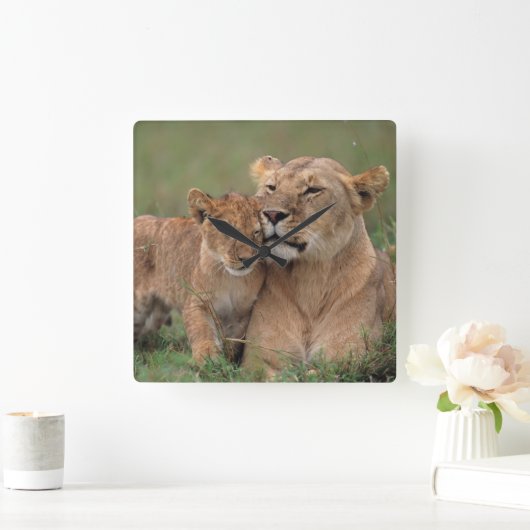 Kutest Baby Animals | Lion Cub en moeder Vierkante Klok (Huis)
