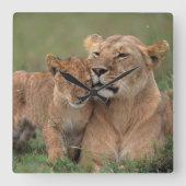 Kutest Baby Animals | Lion Cub en moeder Vierkante Klok (Voorkant)