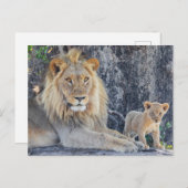 Kutest Baby Animals | Lion Dad & Cub Briefkaart (Voorkant / Achterkant)