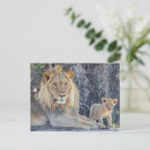 Kutest Baby Animals | Lion Dad & Cub Briefkaart (Staand voorkant)
