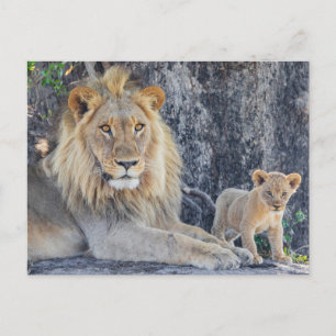 Kutest Baby Animals   Lion Dad & Cub Briefkaart