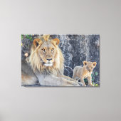 Kutest Baby Animals | Lion Dad & Cub Canvas Afdruk (Voorkant)