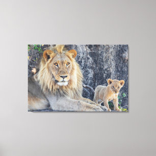 Kutest Baby Animals Lion Dad & Cub Canvas Afdruk