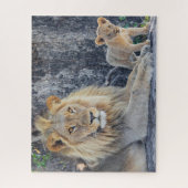 Kutest Baby Animals | Lion Dad & Cub Legpuzzel (Verticaal)
