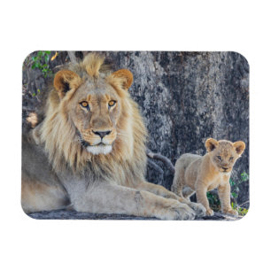 Kutest Baby Animals   Lion Dad & Cub Magneet