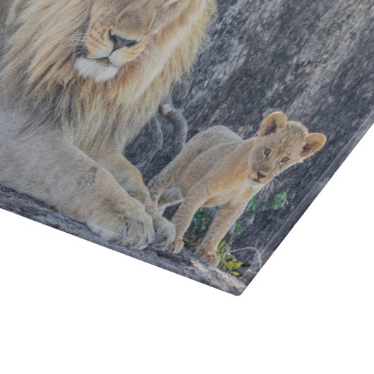 Kutest Baby Animals | Lion Dad & Cub Snijplank (Hoek)