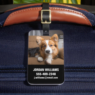 Kutest Baby Animals   Long Hair Corgi Puppy Bagagelabel